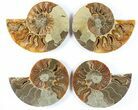 Lot: - Cut Ammonite Pairs (Grade B/C) - Pairs #85220-1